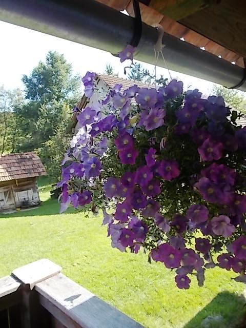 Rustic Home Mia Duga Resa Quarto foto